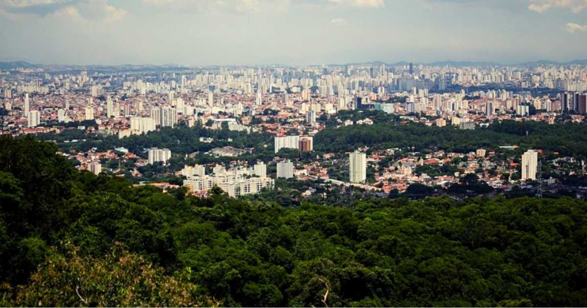 Opinião: “São Paulo precisa ser referência ambiental”